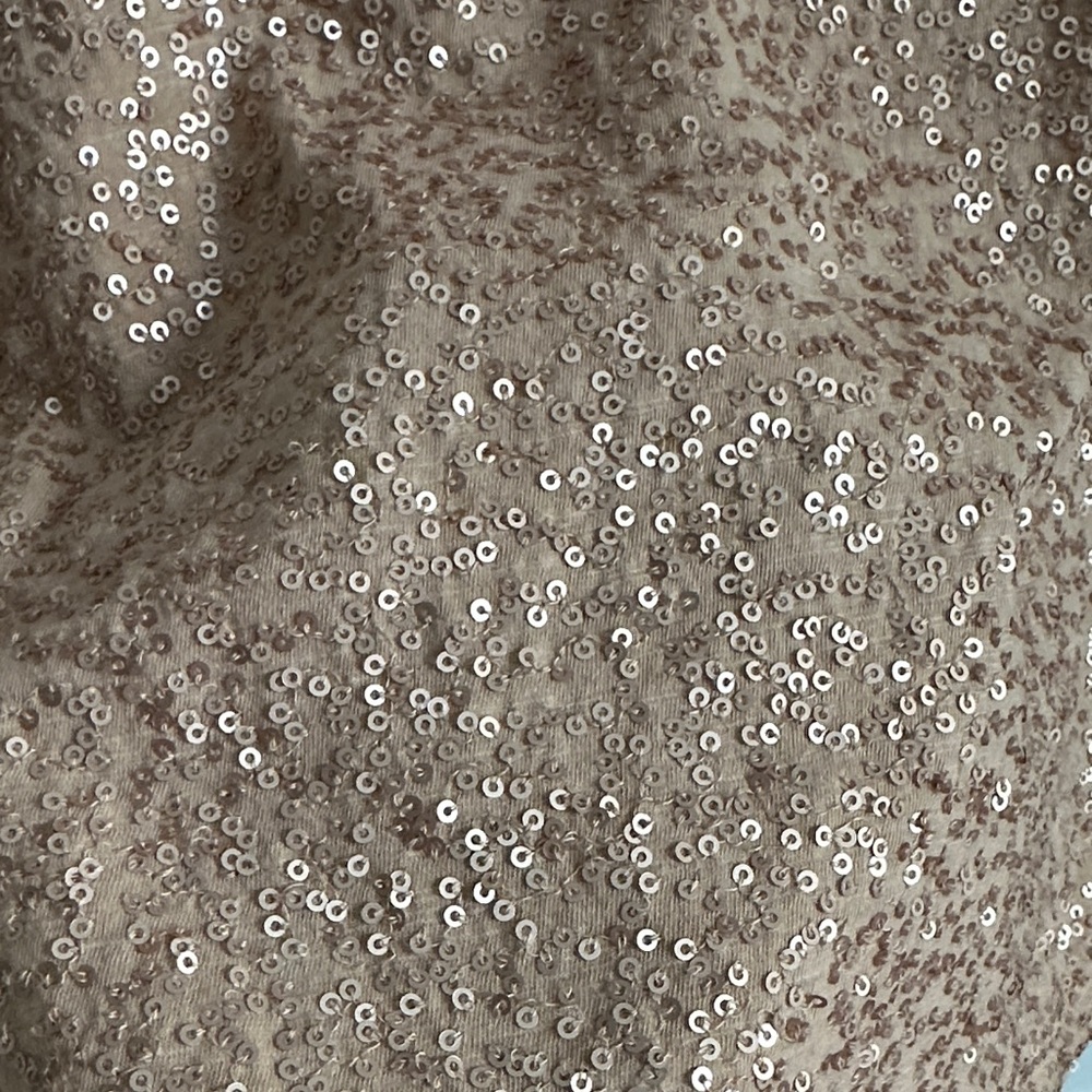 LOFT Beige Sequin Embellished Blouse - Picture 5 of 7